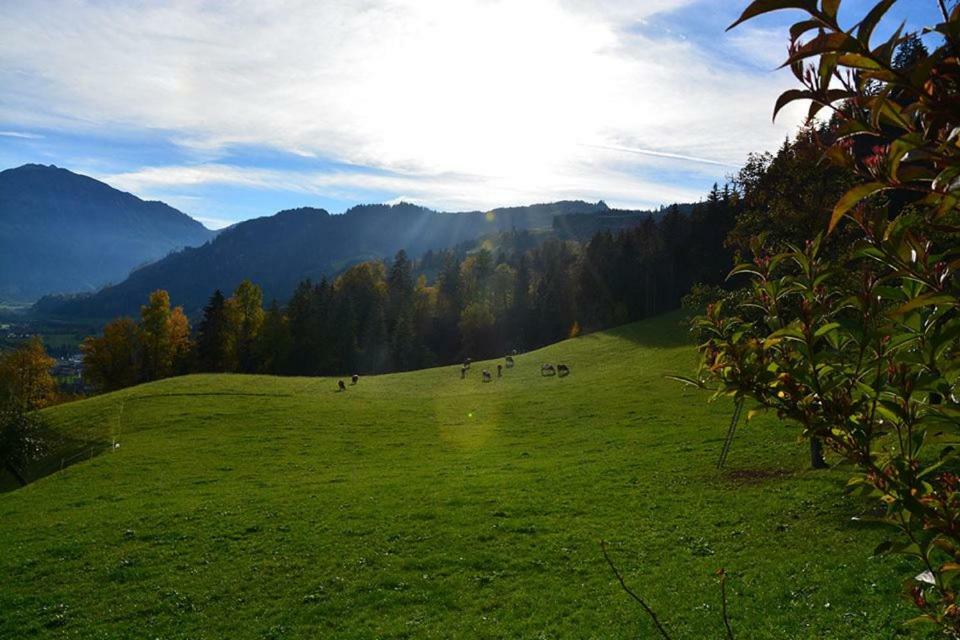 Niederstallnhof St. Johann im Pongau Exterior foto
